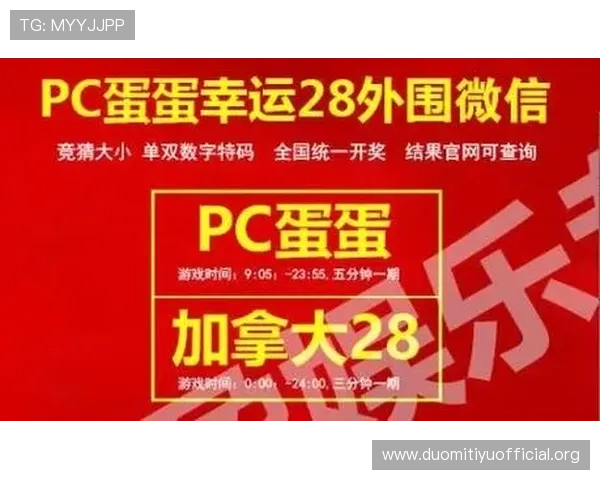 世界杯竞猜机制中的风险控制与奖励机制全面解析与实用指南